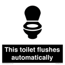 this-toilet-flushes-automatically~